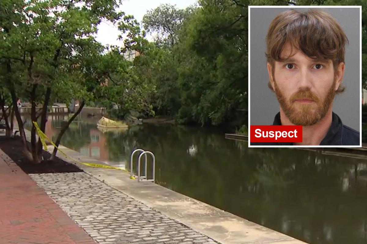 Shocking Encounter at Baltimore's Inner Harbor: What Really Happened?