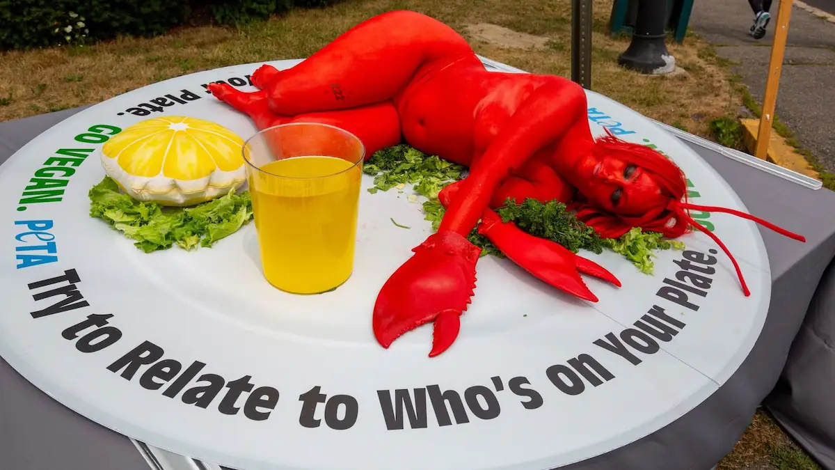 Why PETA's Latest Protest is Making Everyone Talk About Lobsters