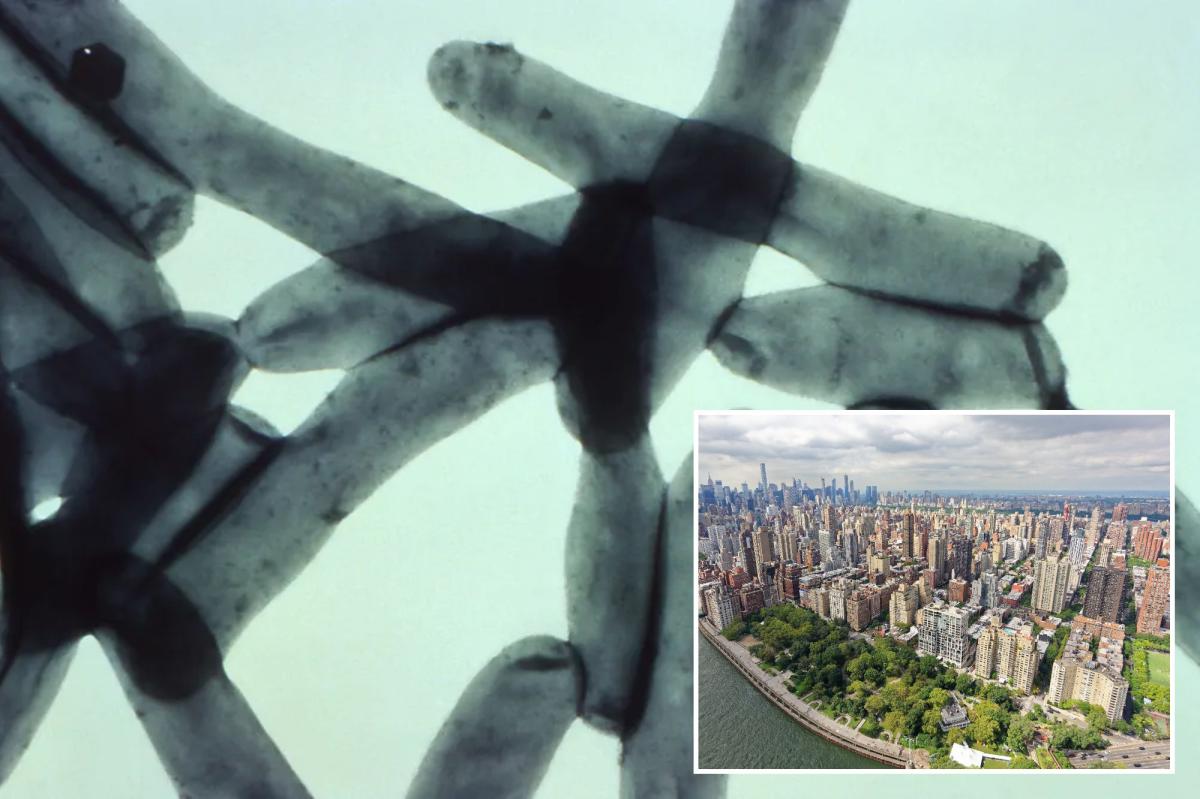 Seventh Death Shocks NYC: What's Next in the Legionnaires' Crisis?