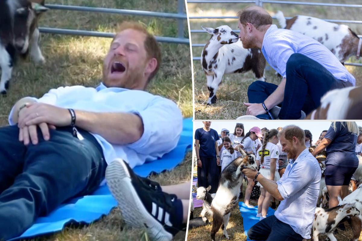 Prince Harry Takes a Tumble: The Goat Yoga Mishap Everyone's Talking About