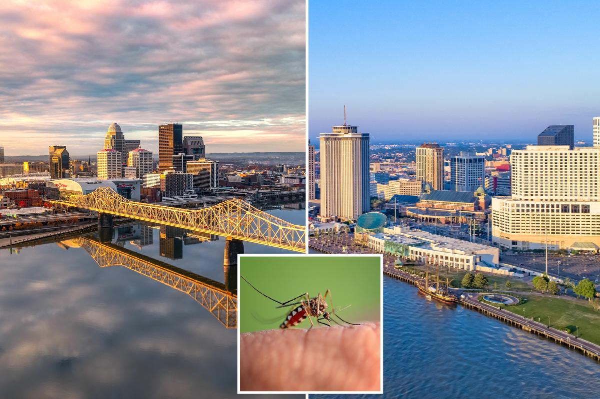 Mosquito Nightmare: Discover the States Where Summer's Buzz Never Stops
