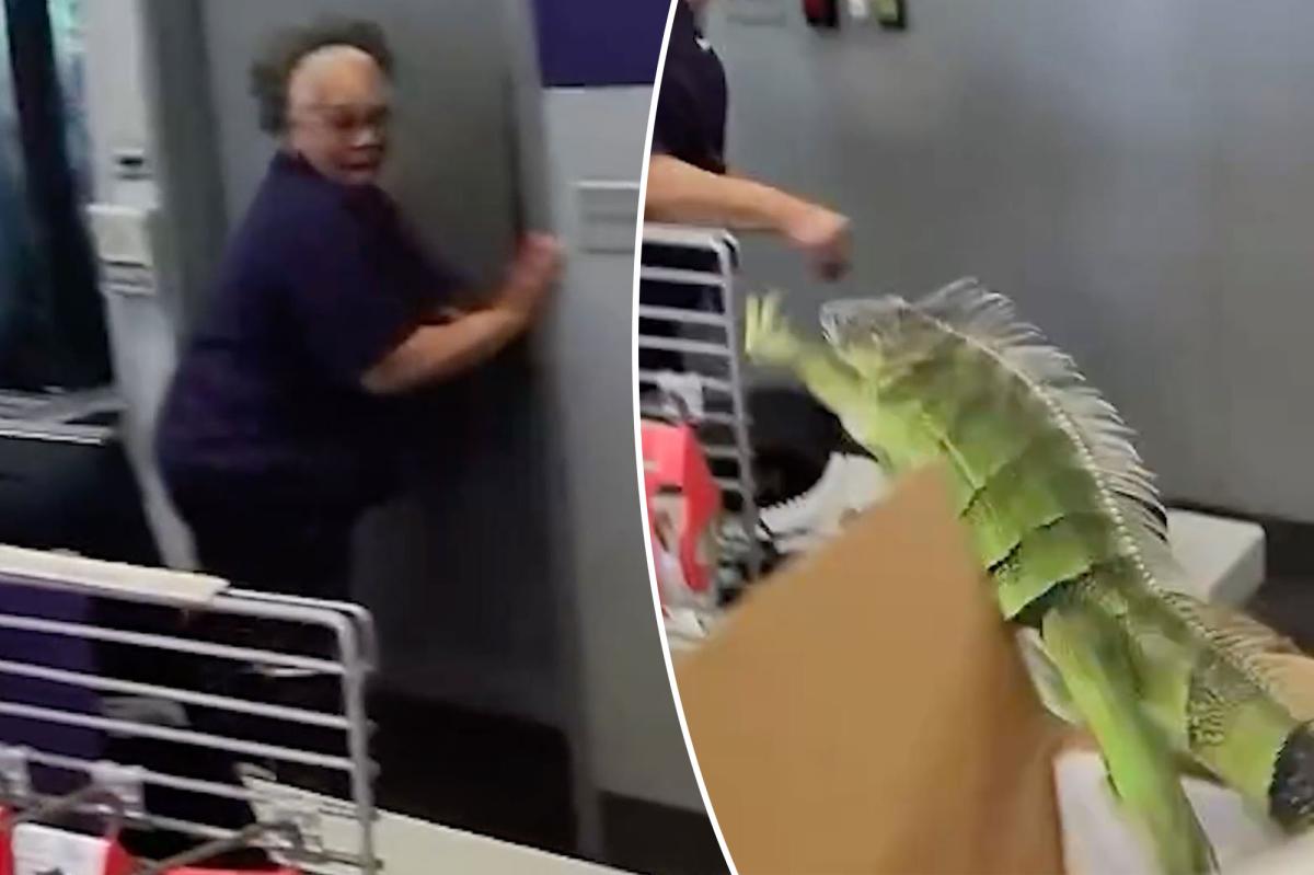 Chaos Unfolds as Iguana Springs from FedEx Box, Shocking Employees