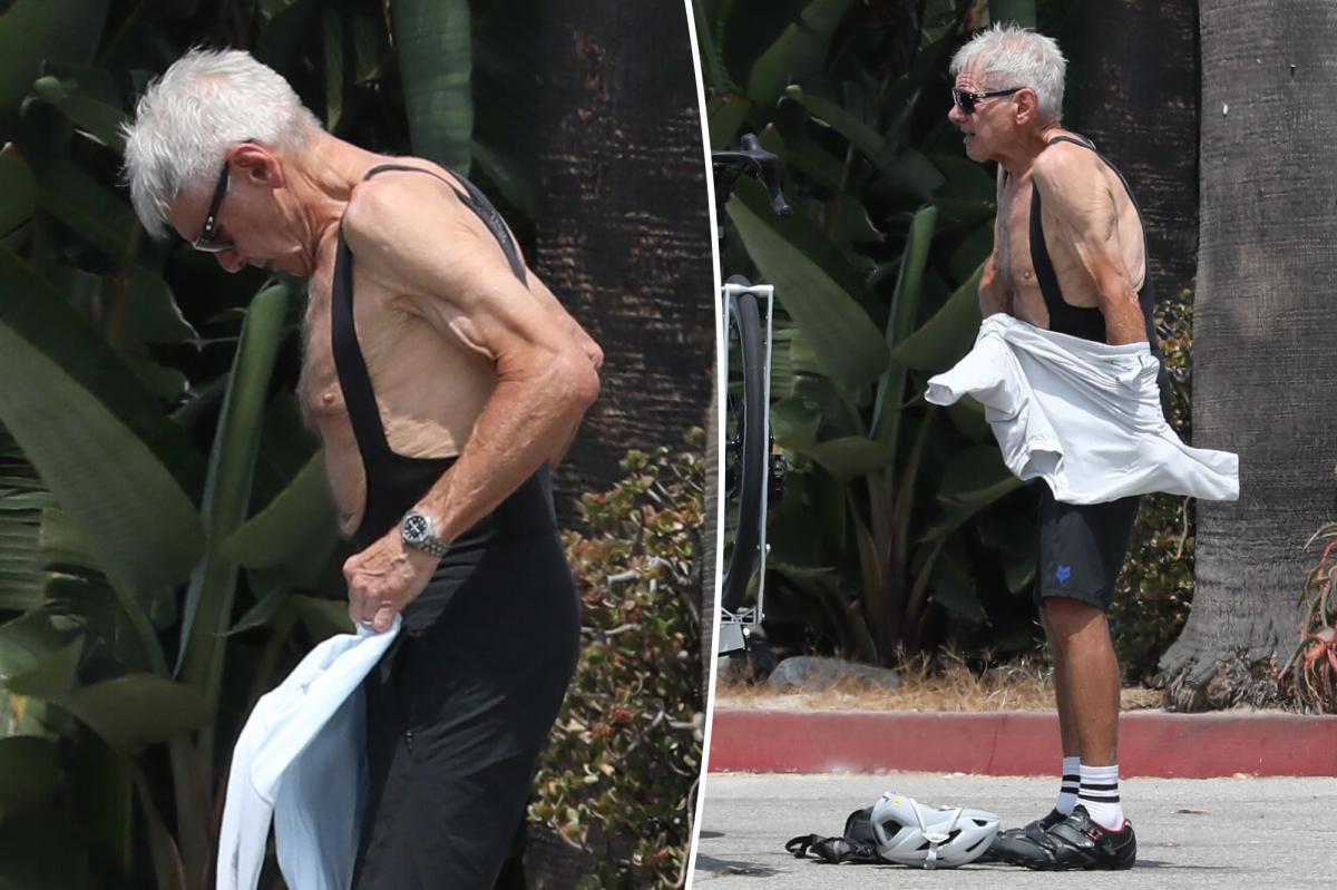 Harrison Ford's Stunning Transformation at 83 Sparks Buzz