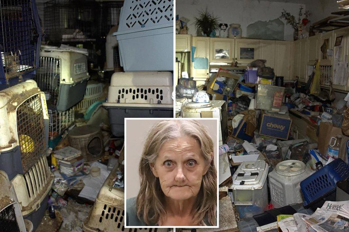 Florida Mail Carrier's Shocking Secret: Over 100 Stolen Pets Found in Horror House