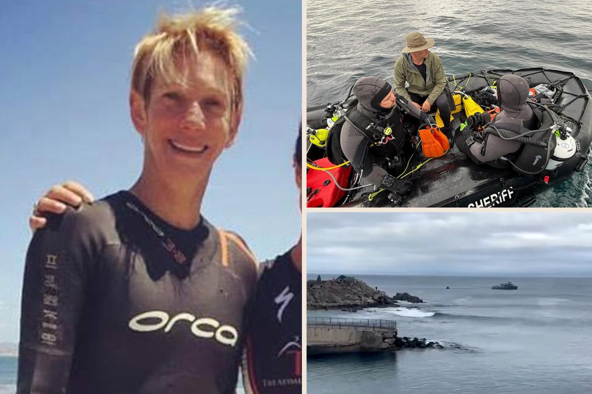 Shark Attack Horror: Triathlete Vanishes, Then Washes Ashore