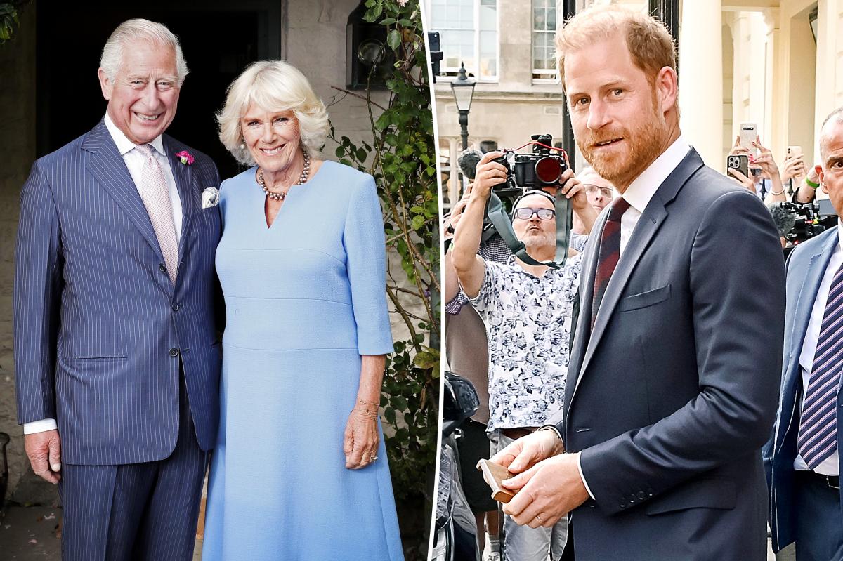 Queen Camilla's Surprising Role in Harry's Emotional Reunion with King Charles