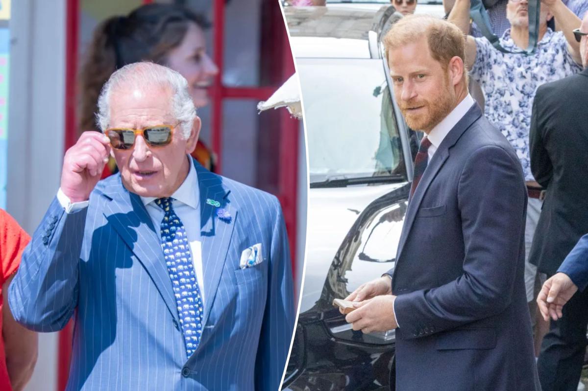 Prince Harry's Unseen Struggle: The Unexpected Rescue Plan