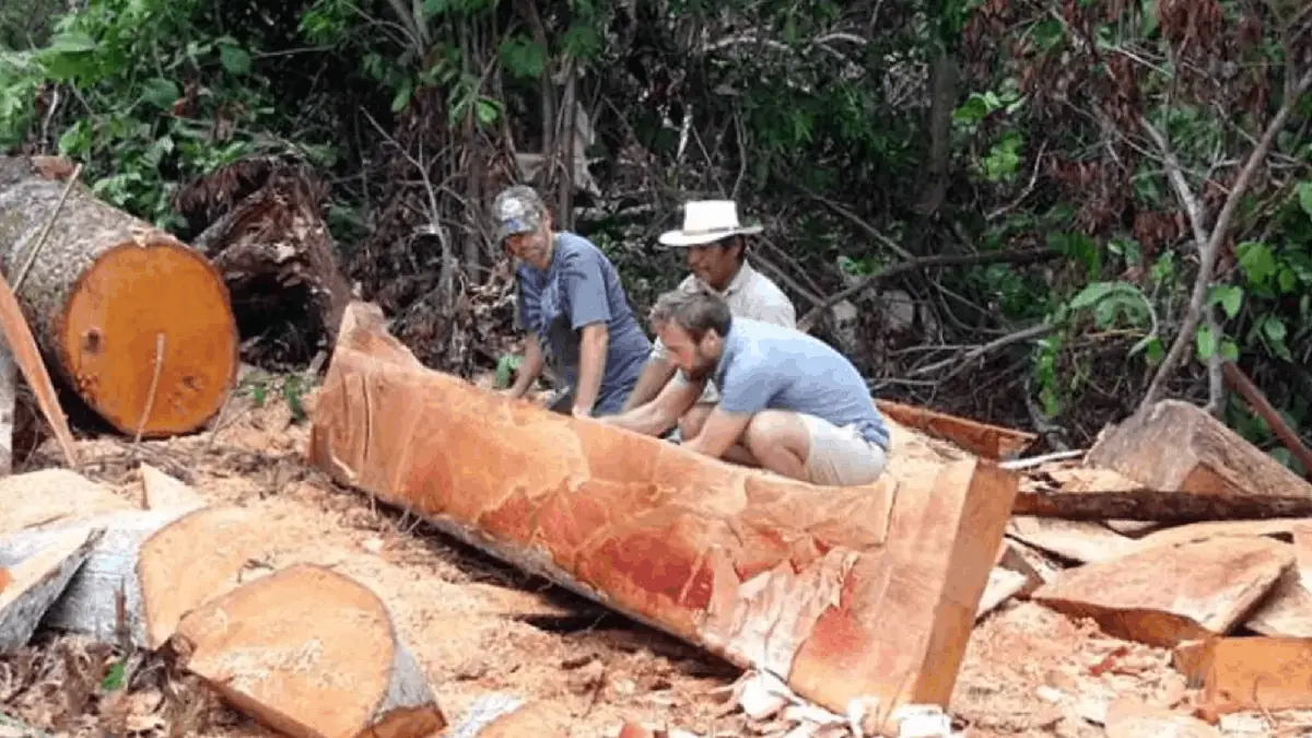 Why Did This Man Sell His Entire Life for an Island Adventure?