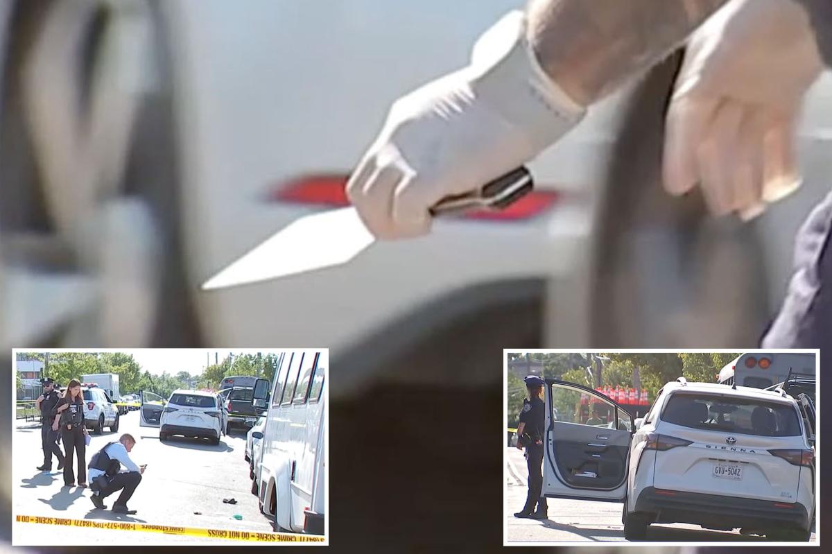 Queens Road Rage: What Drove a Man to Attack with a Meat Cleaver?