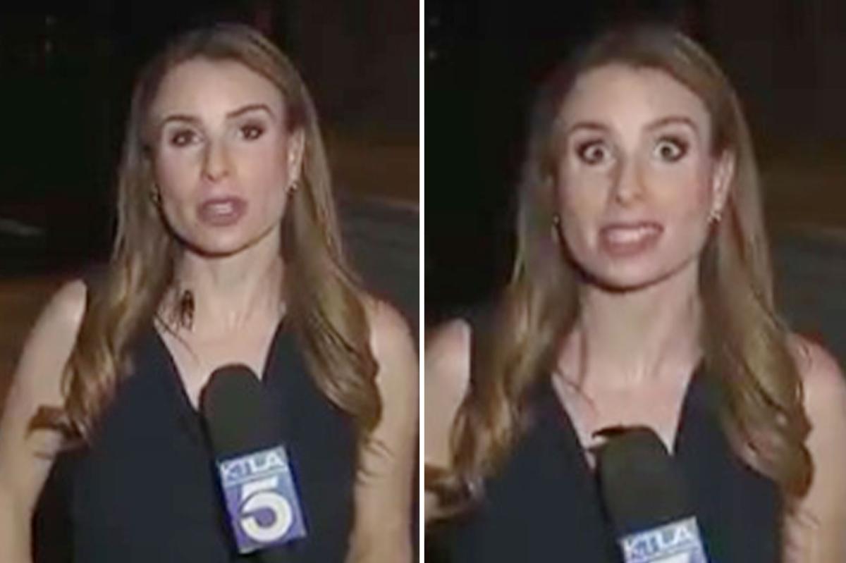TV Reporter Stunned as Giant Cockroach Invades Live Broadcast